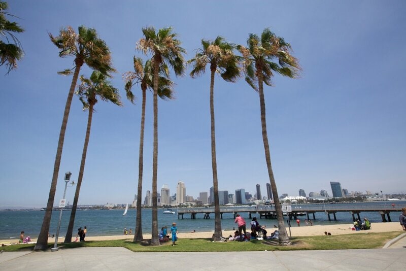 Palmen am Strand von Coronado Island mit Blick auf die Skyline von San Diego an einem sonnigen Tag.