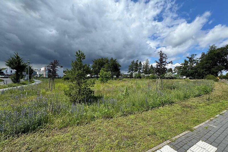 Immobilienprojekt Vitalquartier Elstal in Berlin - Generalunternehmer: Mastiok Bau - Wiese Baugrund