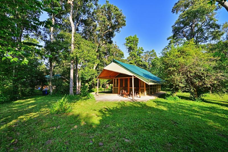 Ishasha wilderness camp view