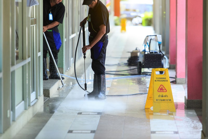 mold removal