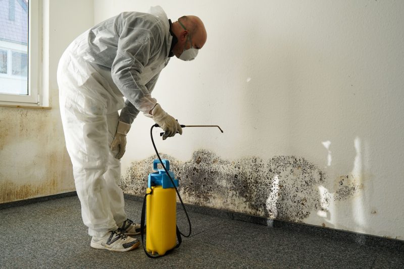 mold prevention
