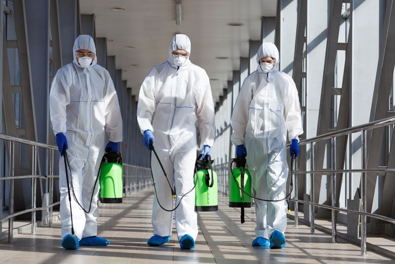 mold remediation company