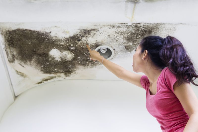 Mold-Free-Schools-in-Alpharetta-Strategies-for-a-Healthy-Learning-Environment-The-Mold-Assassins