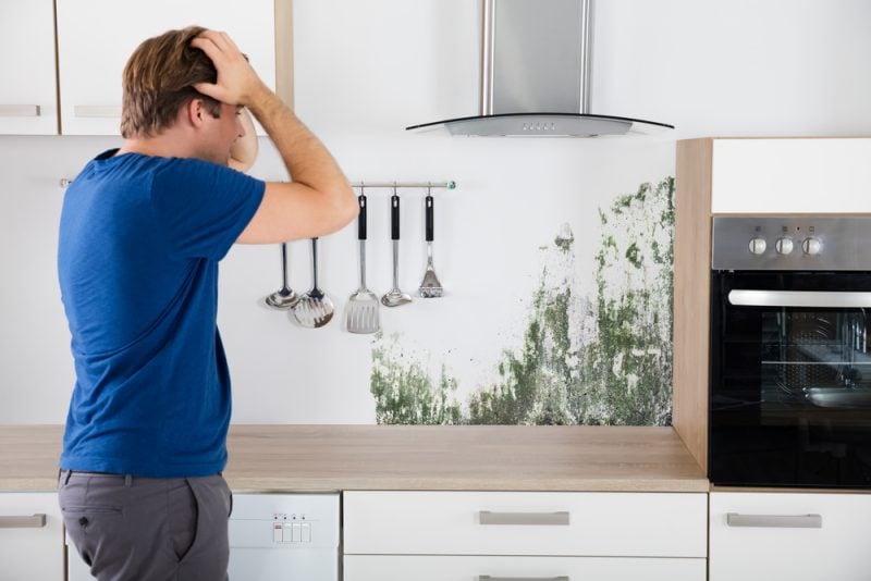 Mold-and-Home-Resale-Alpharetta-Sellers-Guide-The-Mold-Assassins.