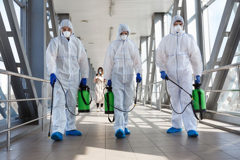 mold removal