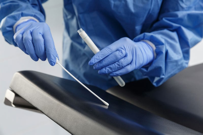 mold testing