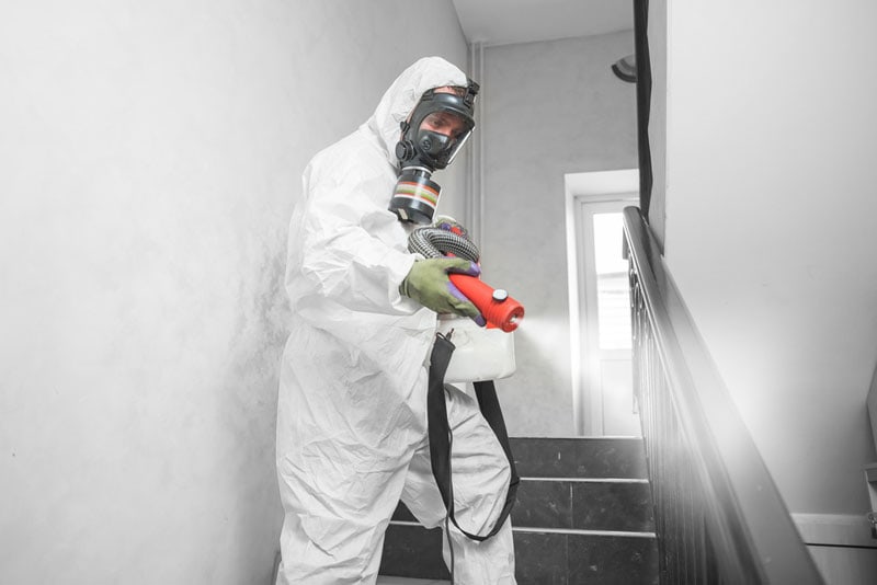 disinfection services