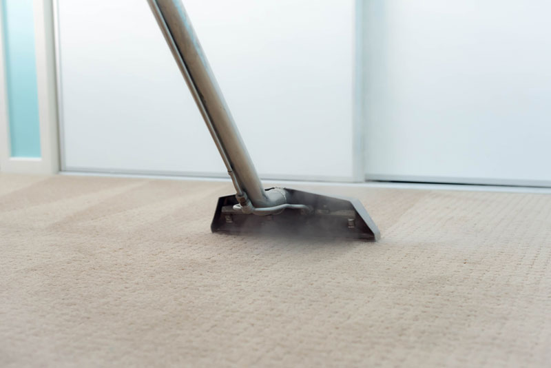 carpet cleaning