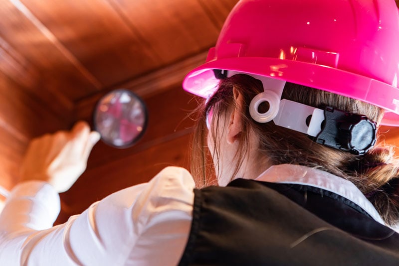 mold inspection and testing