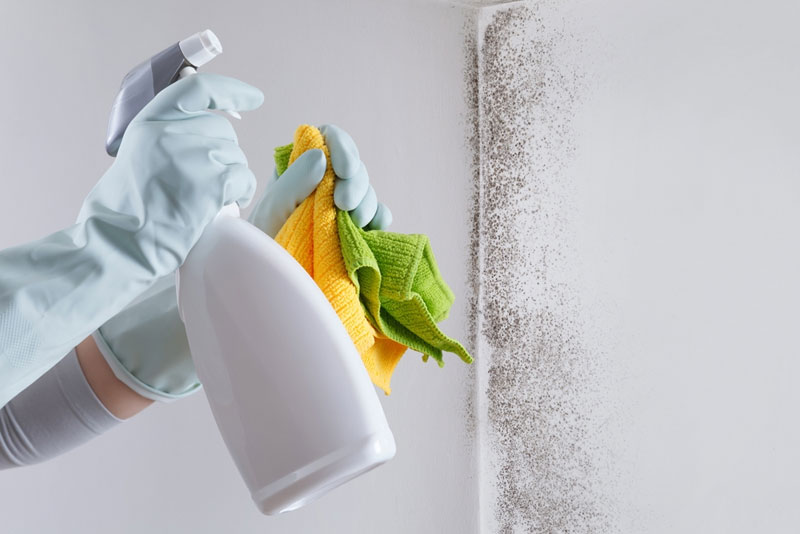 cleaning product