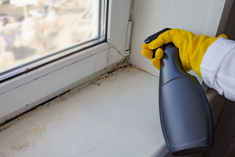 bathroom mold