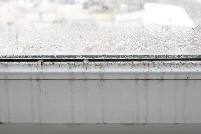 black mold on windows
