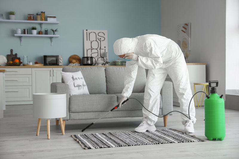 home sanitization services
