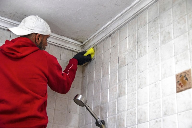 prevent bathroom mold