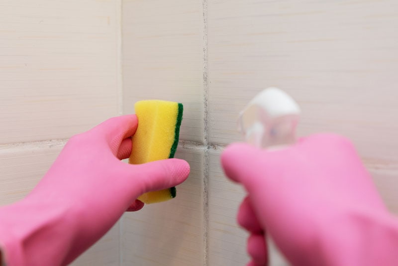 mold removal