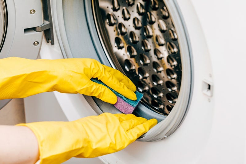 Remove Black Mold