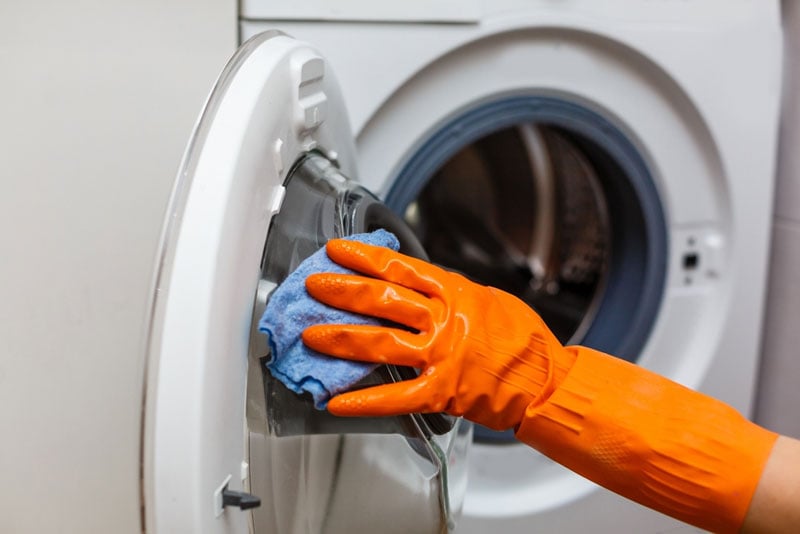 Prevent Future Mold Growth