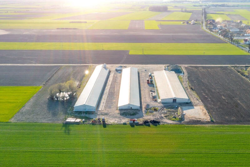Large-format steel livestock farm buildings in Canada, aerial view