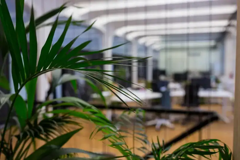 Design Biofílico e a Produtividade no Ambiente de Trabalho