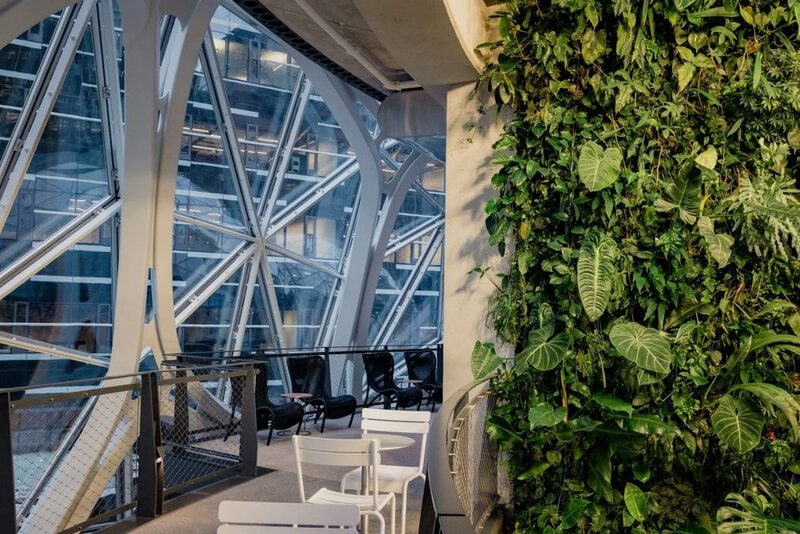 Jardim Vertical Interno Para Empresas E Otimização Do Espaço