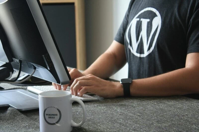 duda to wordpress