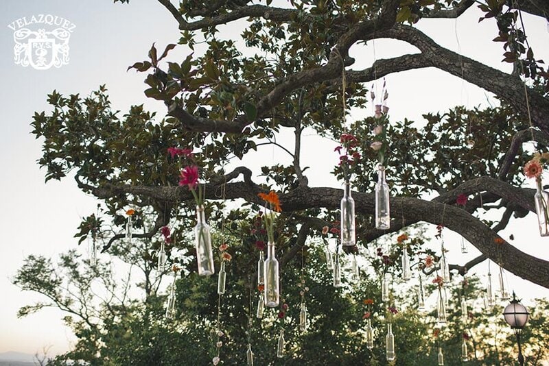 arbol