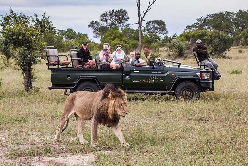 Nottens Bush Camp game drive