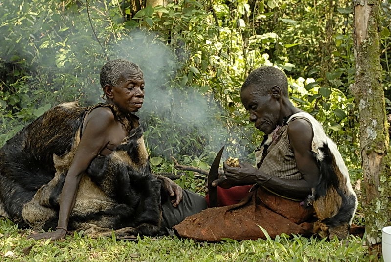 11 Days Uganda Ngamba Chimps, Jinja and Bwindi Gorilla Safari