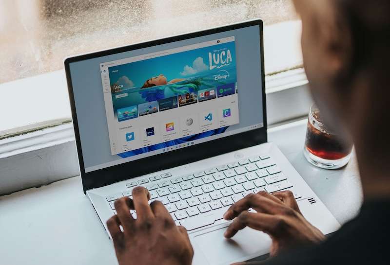 Dealing with Frozen Programs or App on Windows 11 PC
