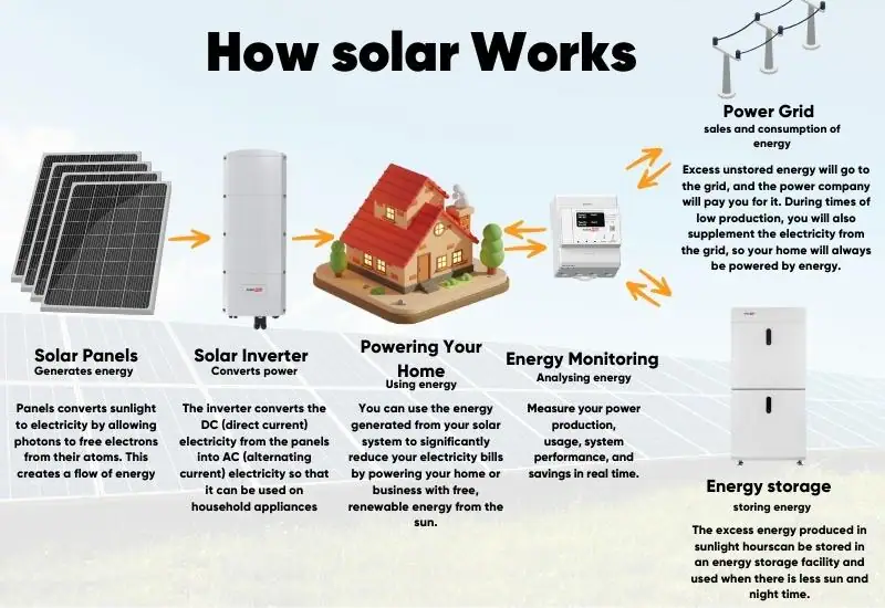 Funktionsweise von Solarmodulen – Infografik