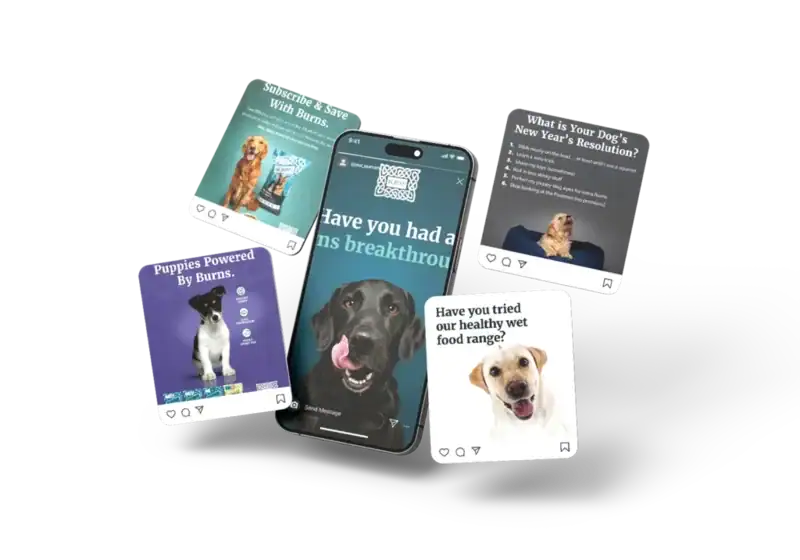 A smartphone screen displays a black dog with its tongue out, surrounded by playful pet food ads featuring various happy dogs against bright backgrounds.