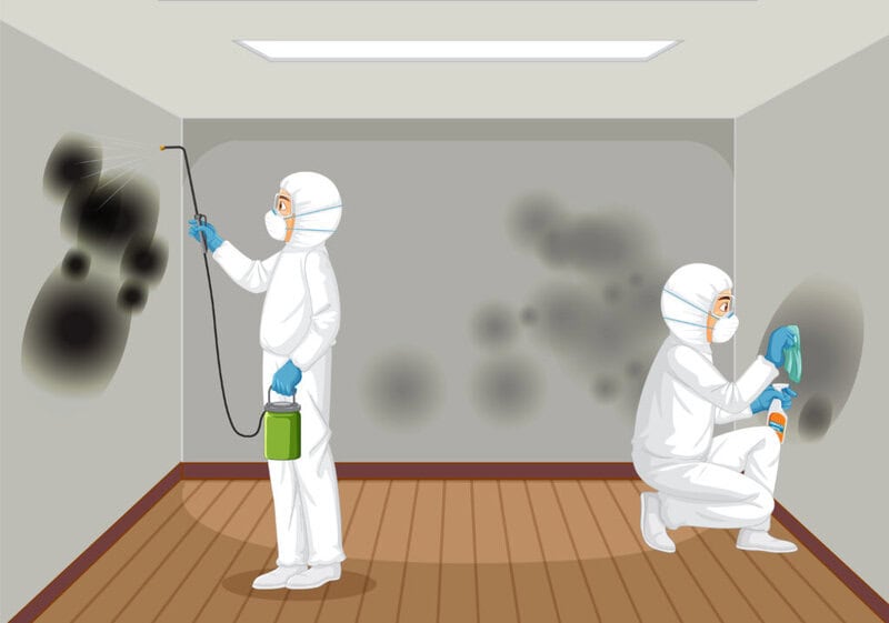 Mold Detection in New Jersey