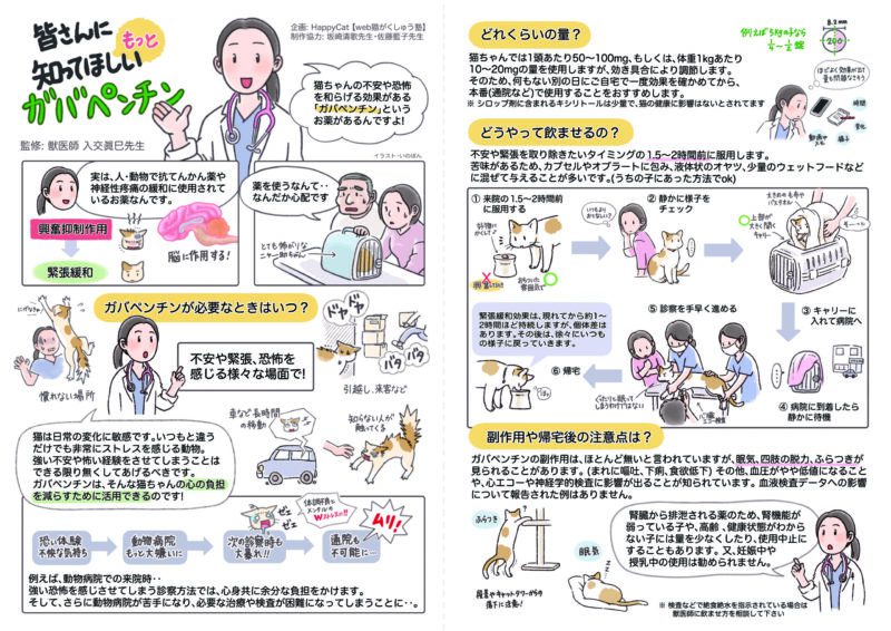 猫の診察とガバペンチンの活用について