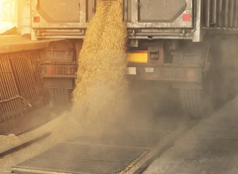 LKW entlädt Getreide auf einer Industrieanlage, während eine deutliche Staubwolke aufsteigt – typische Staubbelastung bei Schüttgutumschlag.