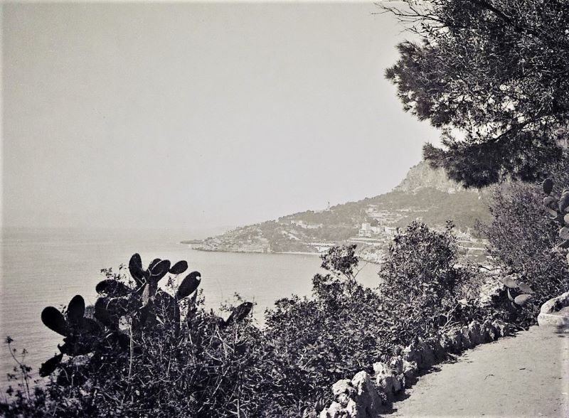 Les jardins de St-Martin à Monaco