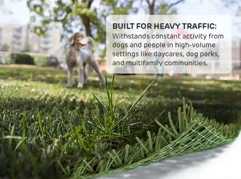 Built for Heavy Traffic: Withstands constant activity from dogs and people in high-volume settings like daycares, dog parks, and multifamily communities.