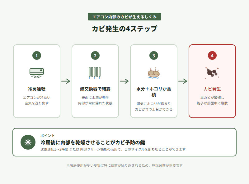 エアコン内部のカビ発生メカニズムを示す図解