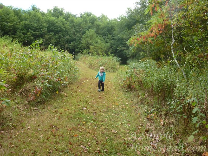 Norskedalen - walking trails