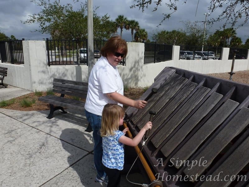 musical instrument at the park