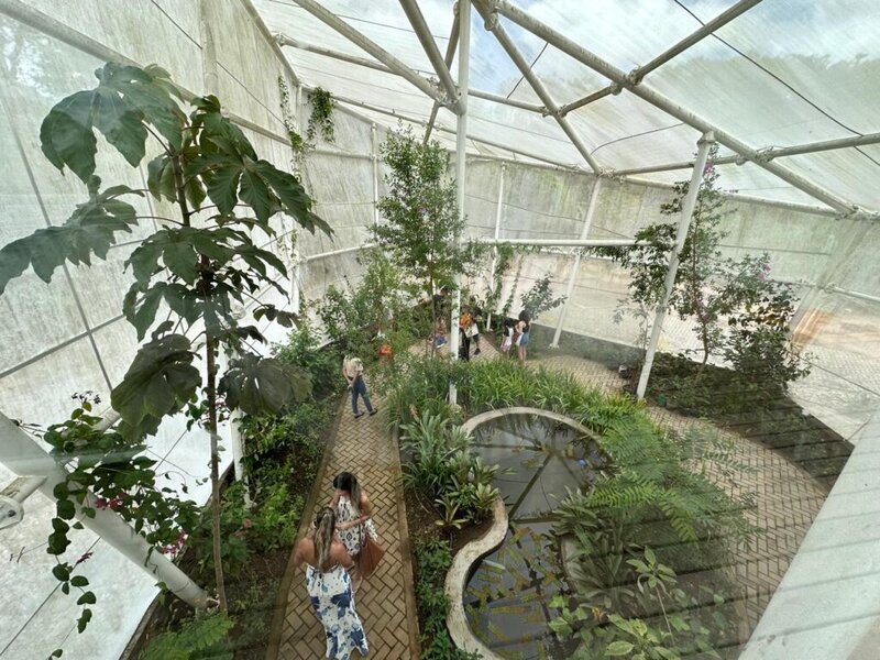 Borboletário do Cariri tem reabertura e recebe a visitação de um grande público 5 WhatsAppImage2024 07 12at22.04.04