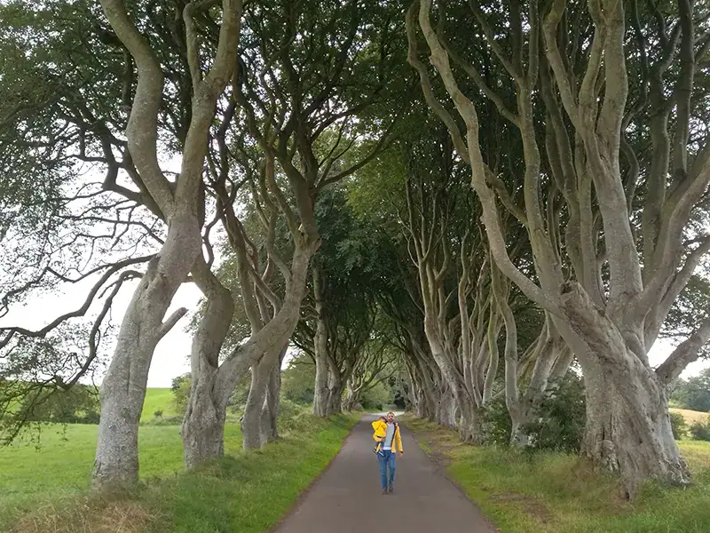 10 lugares imprescindibles que ver en Irlanda del Norte_ClickTrip_Dark Hedges