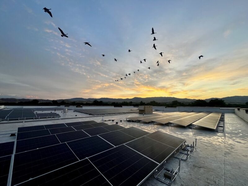 A view of the sunrise and recently installed solar array at Whittier Elementary School in Boise Idaho with a flock of geese flying overhead