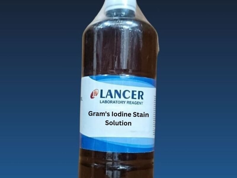 Gram's Iodine Stain Solution-Lancer