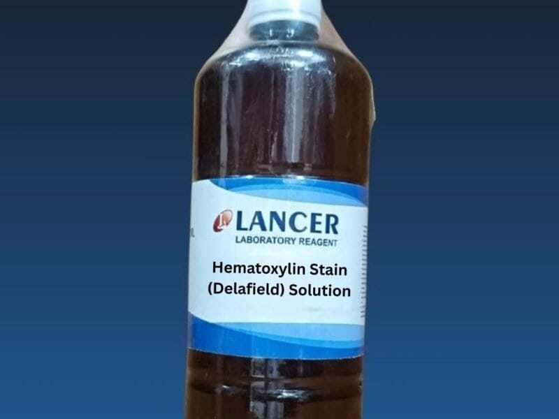 Hematoxylin Stain (Delafield) Solution-Lancer