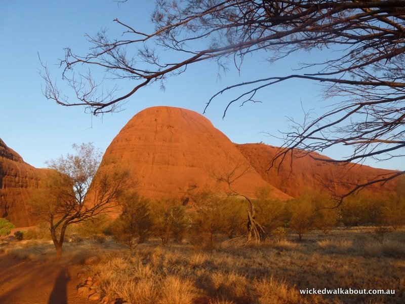 Kata Tjuta/Olgas