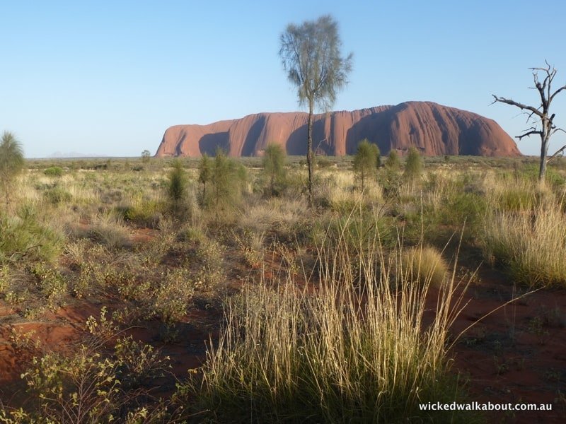 Uluru/Ayers Rock Drive