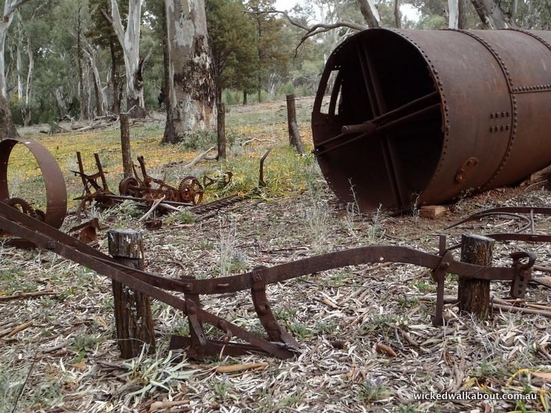 Hills Homestead relics