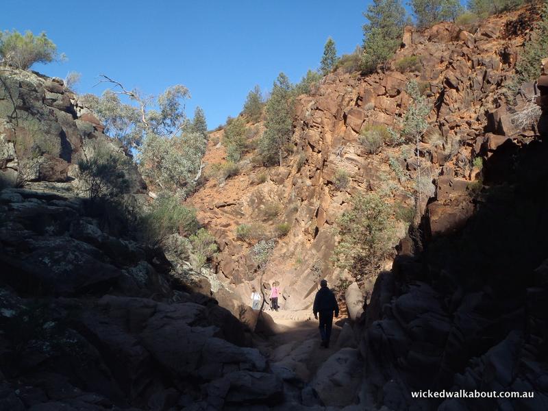 Wilpena Pound, Flinders Ranges
