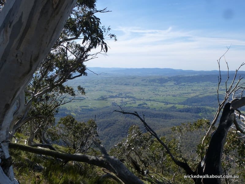 Mt Timbertop Walking Trail, Australia