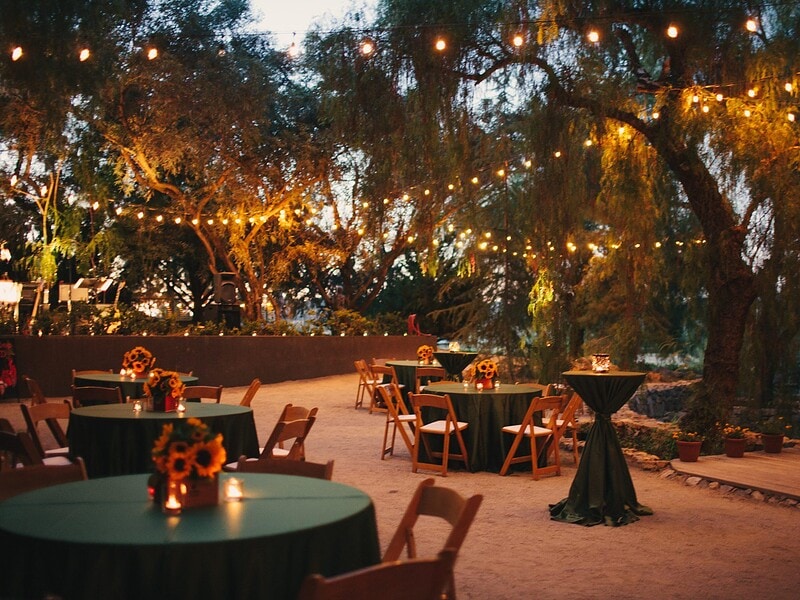 Special occasion dinner service